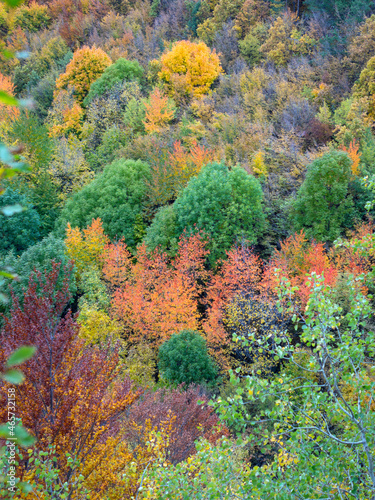 autumn color in Stara Planina in Bulgaria_4