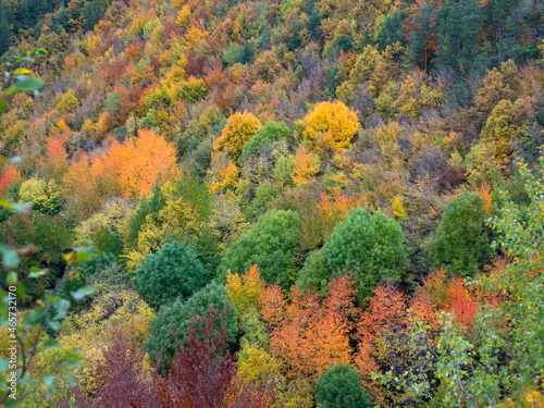 autumn color in Stara Planina in Bulgaria_5