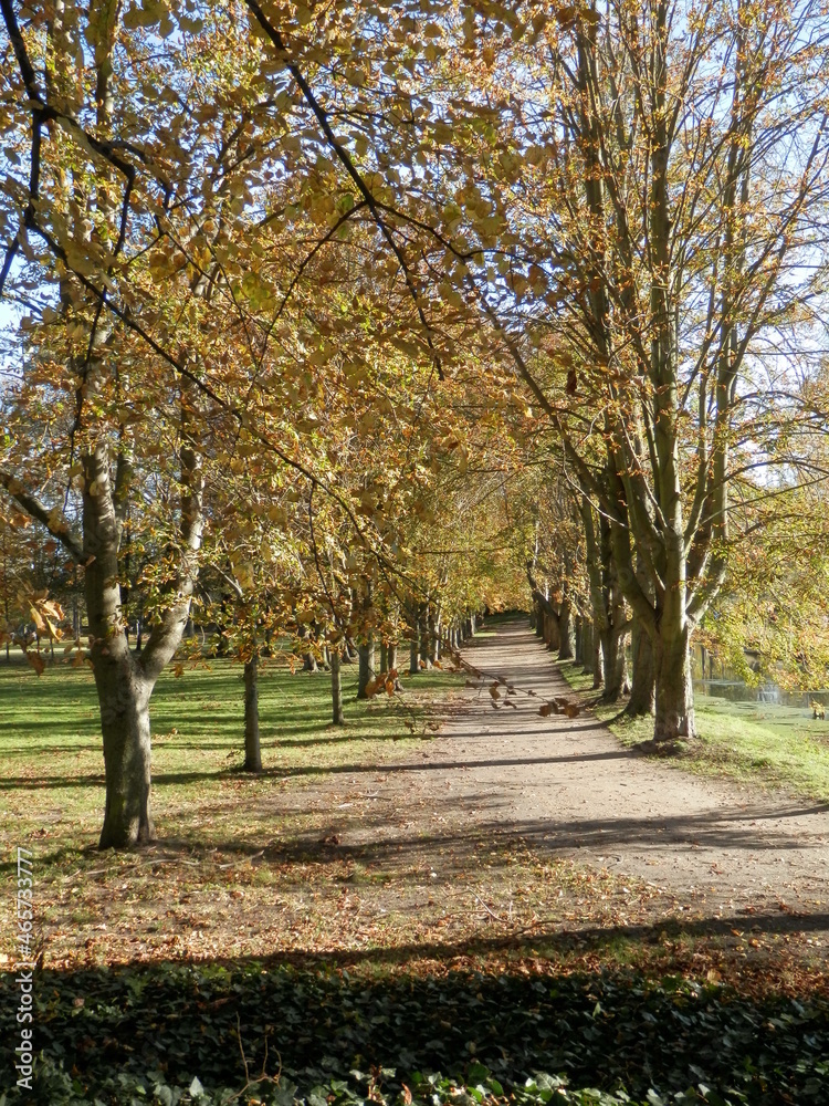 Naklejka premium Die Orangerie und der Schloßpark in Meuselwitz im Altenburger Land, Von-Seckendorf-Park