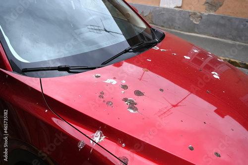 Bird poop on the hood of the car