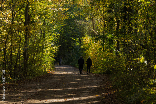 Menschen auf einem Spaziergang in einem herbstlichen Laubwald