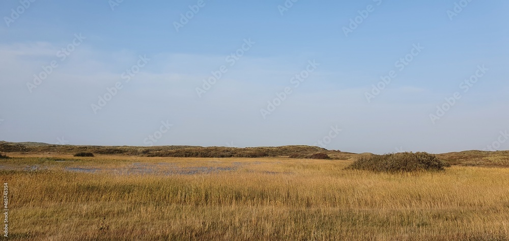 Sint Maartenszee Holland October 2021 romantic dune landscape in the evening in beautiful autumn weather with blue sky