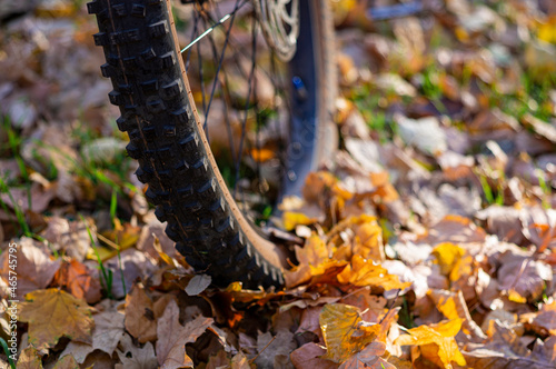 Travel bike background. Bicycle wheel autumn background. Tire protectors. Off-road background.