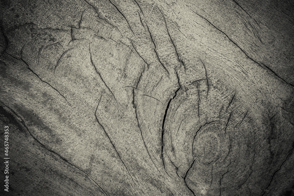 Wood Background Texture Wood Background Texture