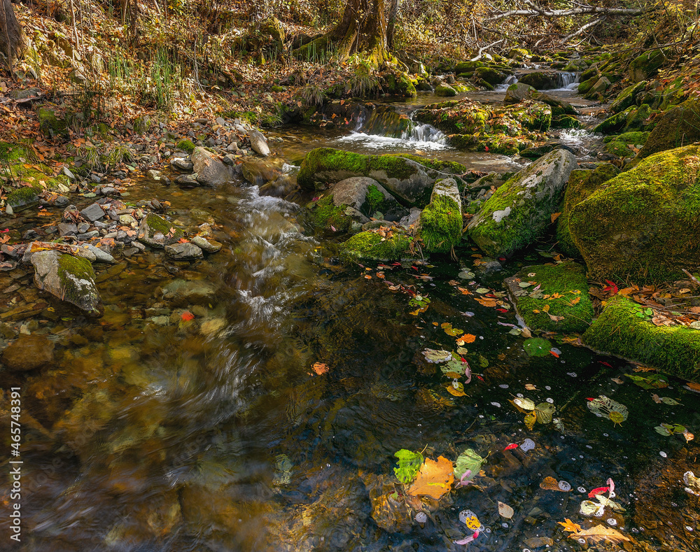 Forest river in autumn with moss-covered stones