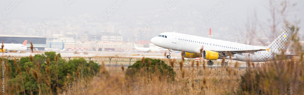 Naklejka premium passenger plane lands at airport