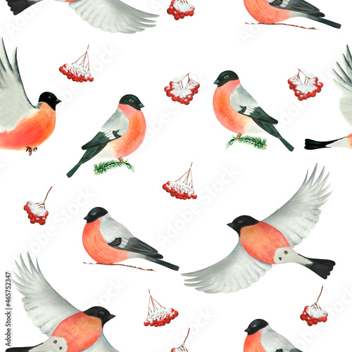 watercolor pattern of bullfinches  winter pattern