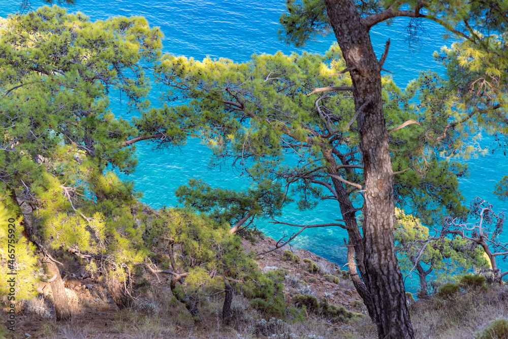 Beautiful nature landscape of Turkey coastline. View from Lycian way to small bay with turquoise water . This is ancient trekking path famous among hikers.