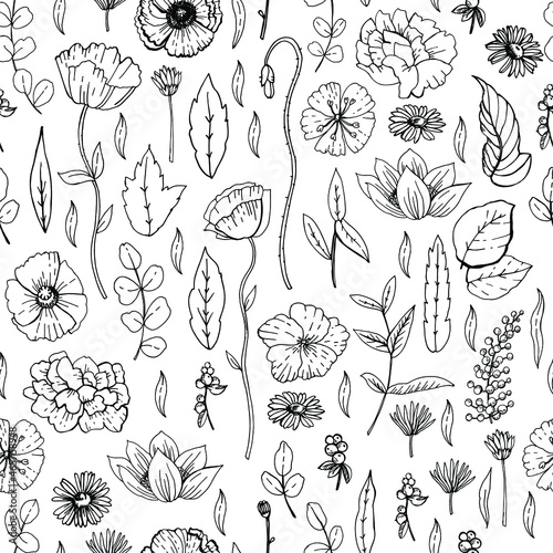 Graphic botanical sketches pattern