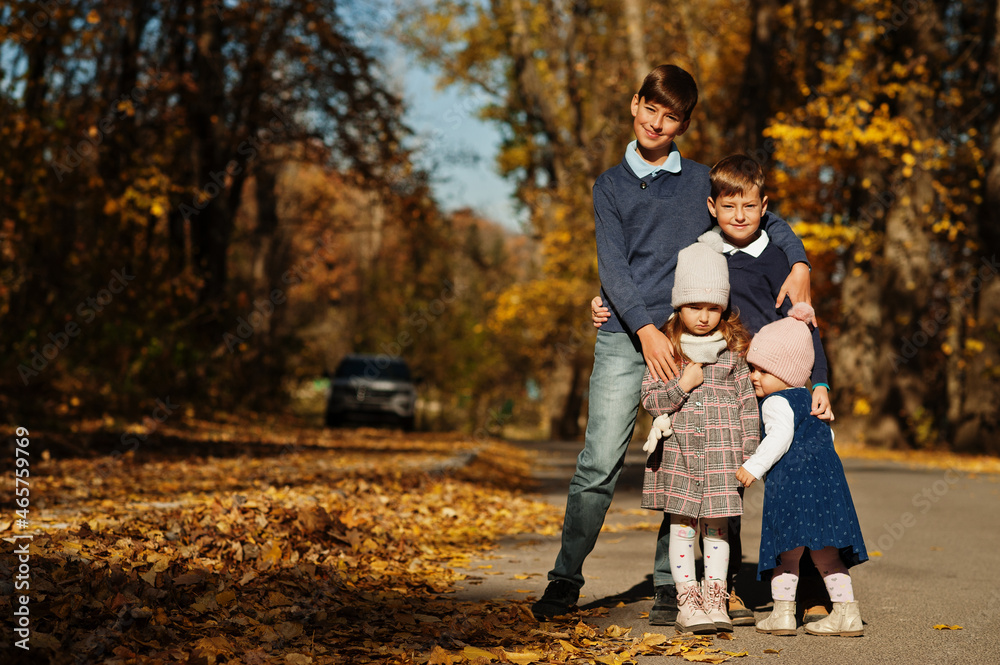 Fototapeta premium Four kids posing at autumn fall park.