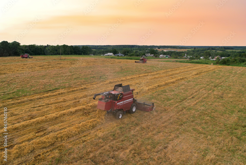 Fototapeta premium Combine harvester working in wheat field. Harvesting machine during cutting crop in farmland. Aerial view of Combines on grain harvesting. Harvester on ingathering oil seed rape (canola) in field.