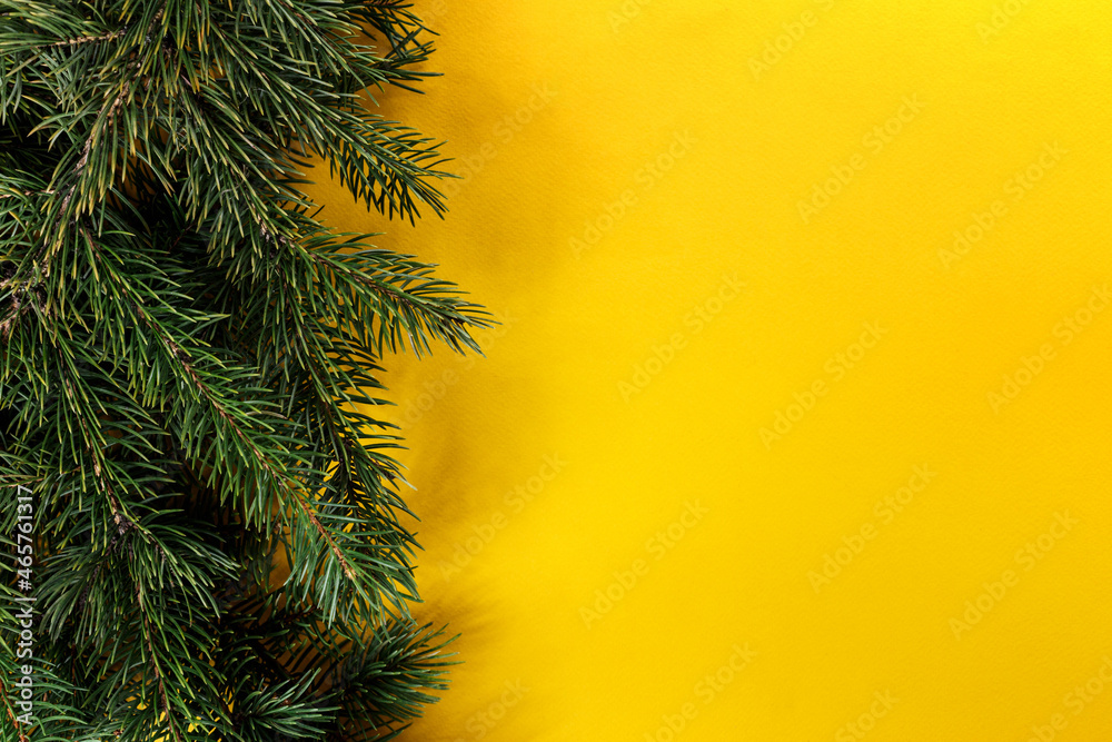 Spruce twigs on an isolated backdrop. Minimalist new year concept. Copy space. Top view of a Christmas workplace.