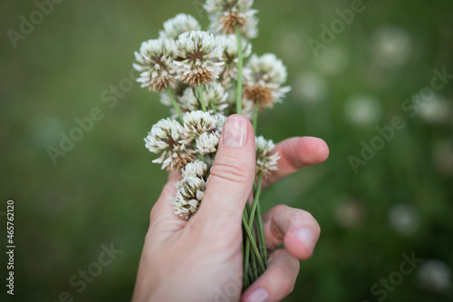 caucasian woman hand holding daisy flowers green field nature simple sorry greif