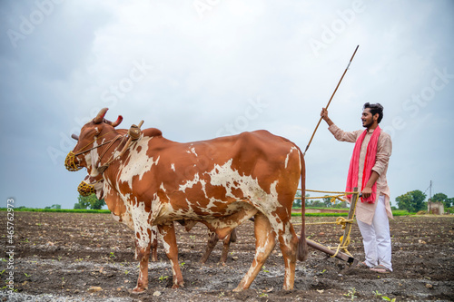 Indian farmer working with bull at his farm.