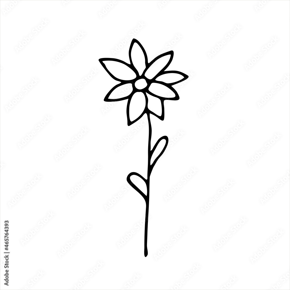 A painted flower. Doodle style, black outline, drawing with floral floral elements, minimalism. Isolated. Vector illustration. A painted flower. Doodle style, black outline, drawing with floral floral elements, minimalism. Isolated. Vector illustration.