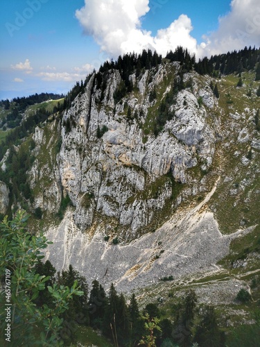 Massif de Chartreuse - Alpage du Charmant Som