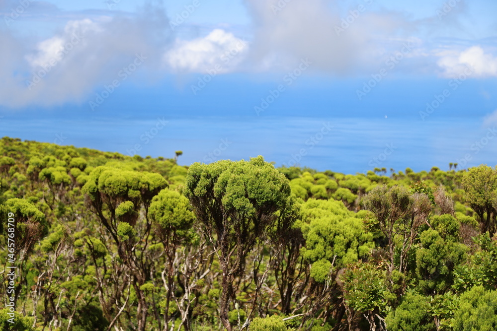 Typical landscape, Sao Jorge island, Azores Typical landscape, Sao Jorge island, Azores