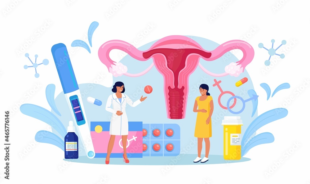 Fototapeta premium Gynecology checkup for women. Doctor gynecologist consult patient about fallopian tubes, ovary disease. Female reproductive system exam, treatment and therapy. Vector design
