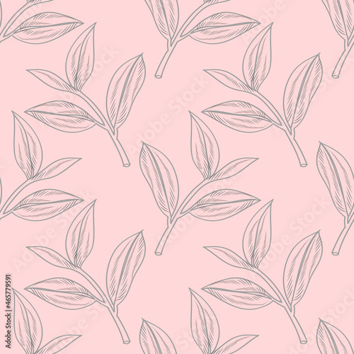 Vector illustration of a branch of a tea tree. Image on a white background.Stil' gravyury.Seamless pattern.