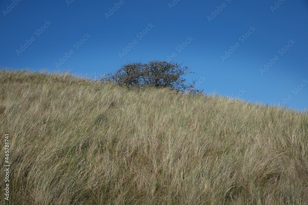 Dunes at Grote Keeten. North Holland. Coast. Netherlands. Dunes at Grote Keeten. North Holland. Coast. Netherlands.