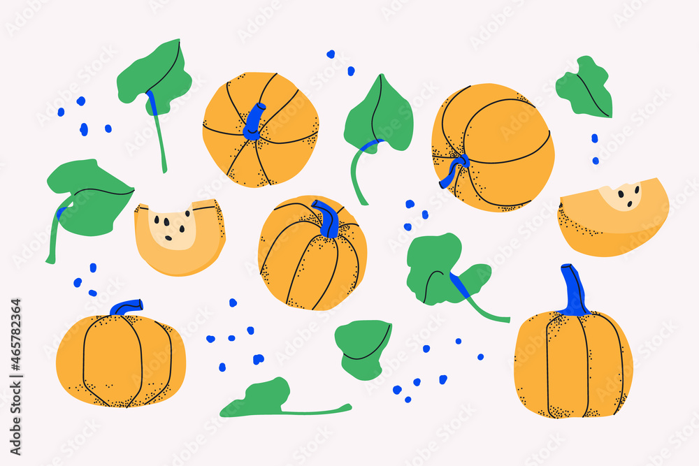 Set of decorative yellow pumpkins, slices and leaves. Vegetables isolated on white background. For design