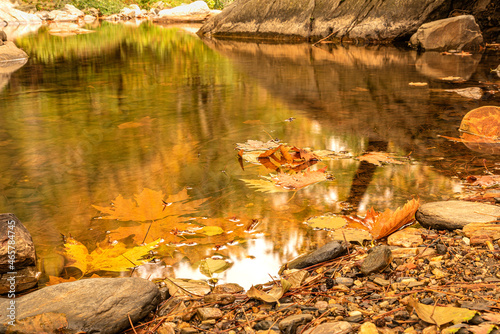 Fototapeta Naklejka Na Ścianę i Meble -  wonderful colors of autumn and nature