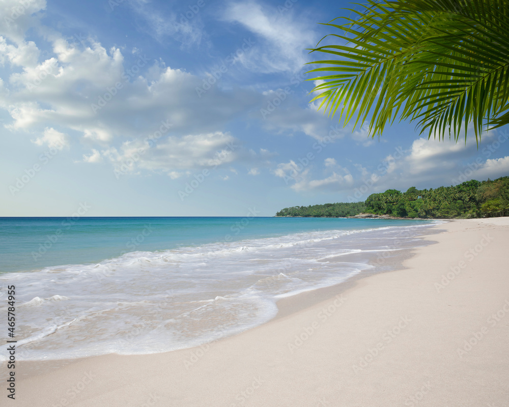 View of nice tropical beach with some palms