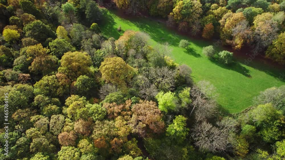 Aerial view of Billdals Park in the sunshine in autumn. Beautiful colorful trees. Yellow and green colors. 4K drone footage. Aerial view of Billdals Park in the sunshine in autumn. Beautiful colorful trees. Yellow and green colors. 4K drone footage.