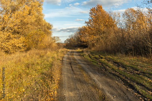 Dirt road in the autumn field
