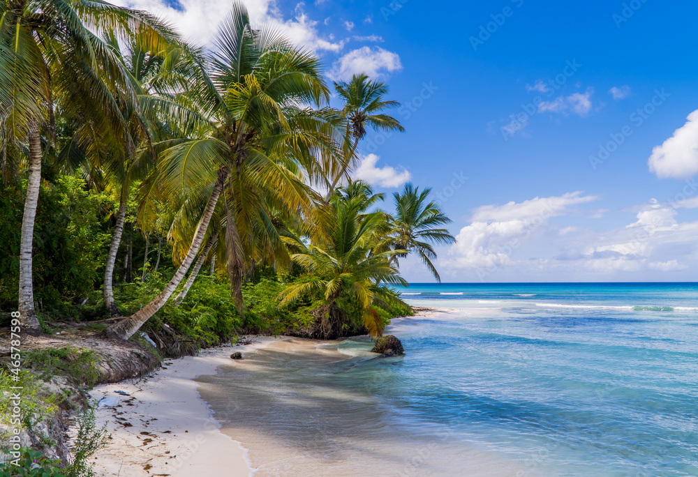 Deserted paradise Caribbean beach on Saona Island in the Dominican Republic - obrazy, fototapety, plakaty 