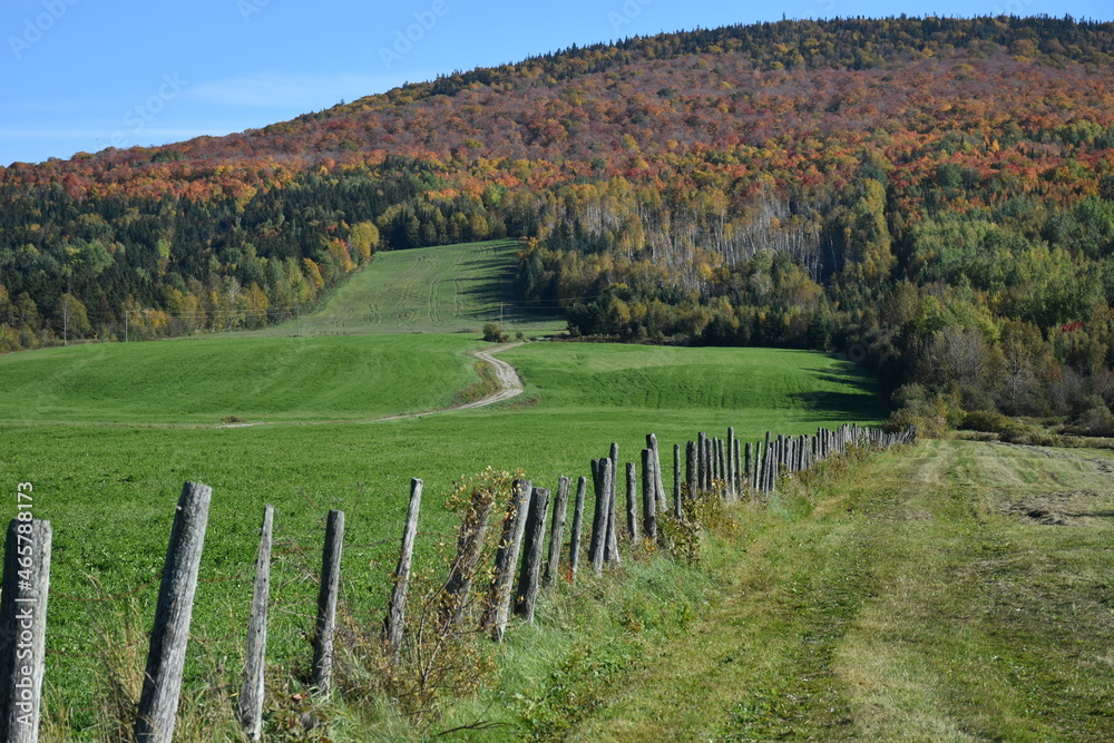 Obraz premium An autumn landscape, Buckland, Québec, Canada