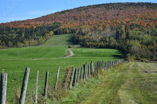 An autumn landscape  Buckland  Qu  bec  Canada