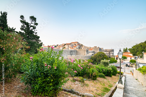 Panoramic view of sunrise over old town of Dubrovnik. Ancient city wall and Minceta tower. Famous tourist destination in Croatia. Summer morning, soft warm light. UNESCO heritage.