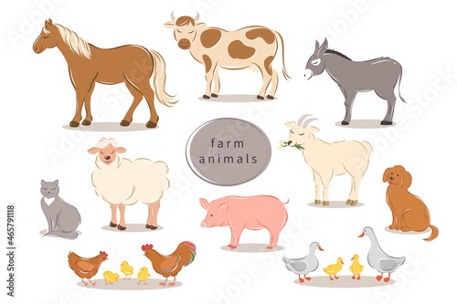 Farm animals set on white background. Cartoon animals collection: horse, cow, donkey, sheep, goat, pig, cat, dog, duck, goose, chicken, rooster. Vector illustration. 