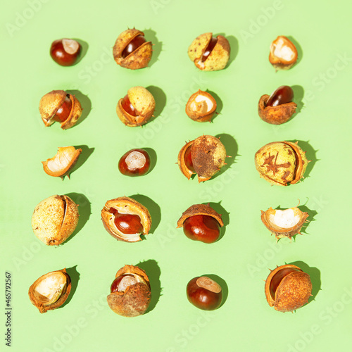 Creative composition made of chestnuts close up on sunlit green background. Nature consept. Falll and autumn theme