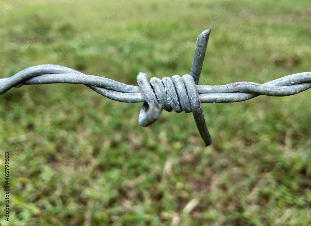 Barbed wire close-up, blurred background. Concept. Anti-invasion border barrier, border seam, security, feeling, difficult, sharp, sharp.