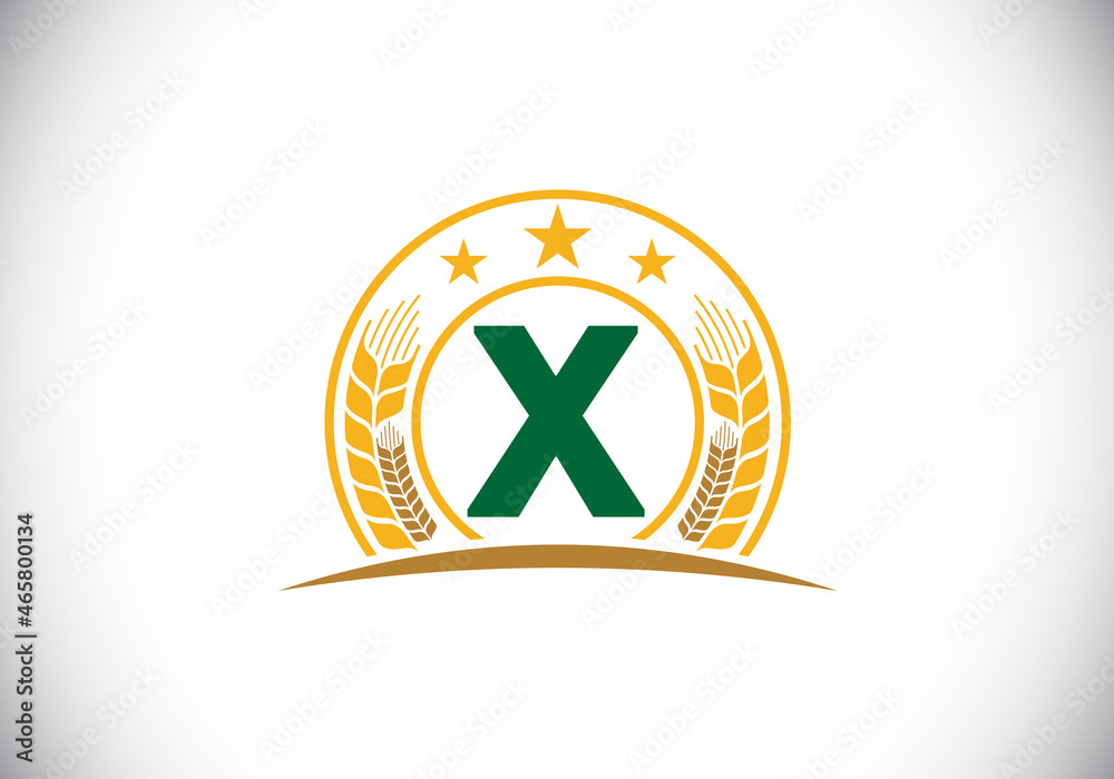 Initial X monogram alphabet symbol design incorporated with Wheat, barley, or rye. Agriculture logo concept. Font emblem. Logo for agriculture business and company identity Initial X monogram alphabet symbol design incorporated with Wheat, barley, or rye. Agriculture logo concept. Font emblem. Logo for agriculture business and company identity