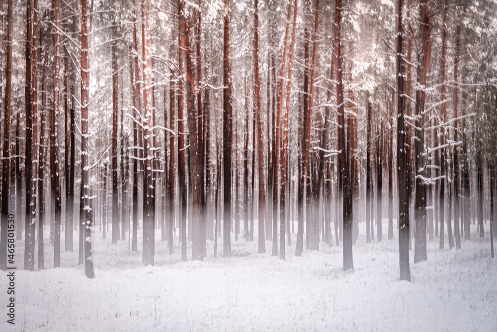 Forest painting winter background