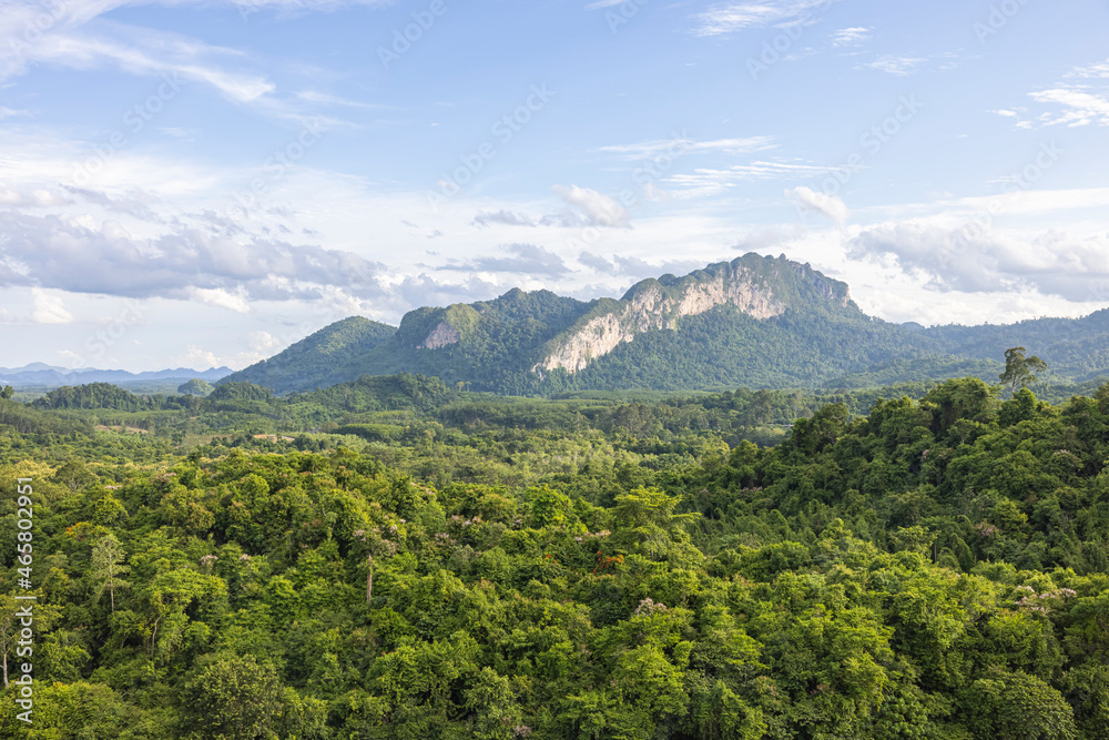 Beautiful fertile forest countryside of thailand. Sunny afternoon. Tree, sky and rolling hills. Rural scenery. View of the forest