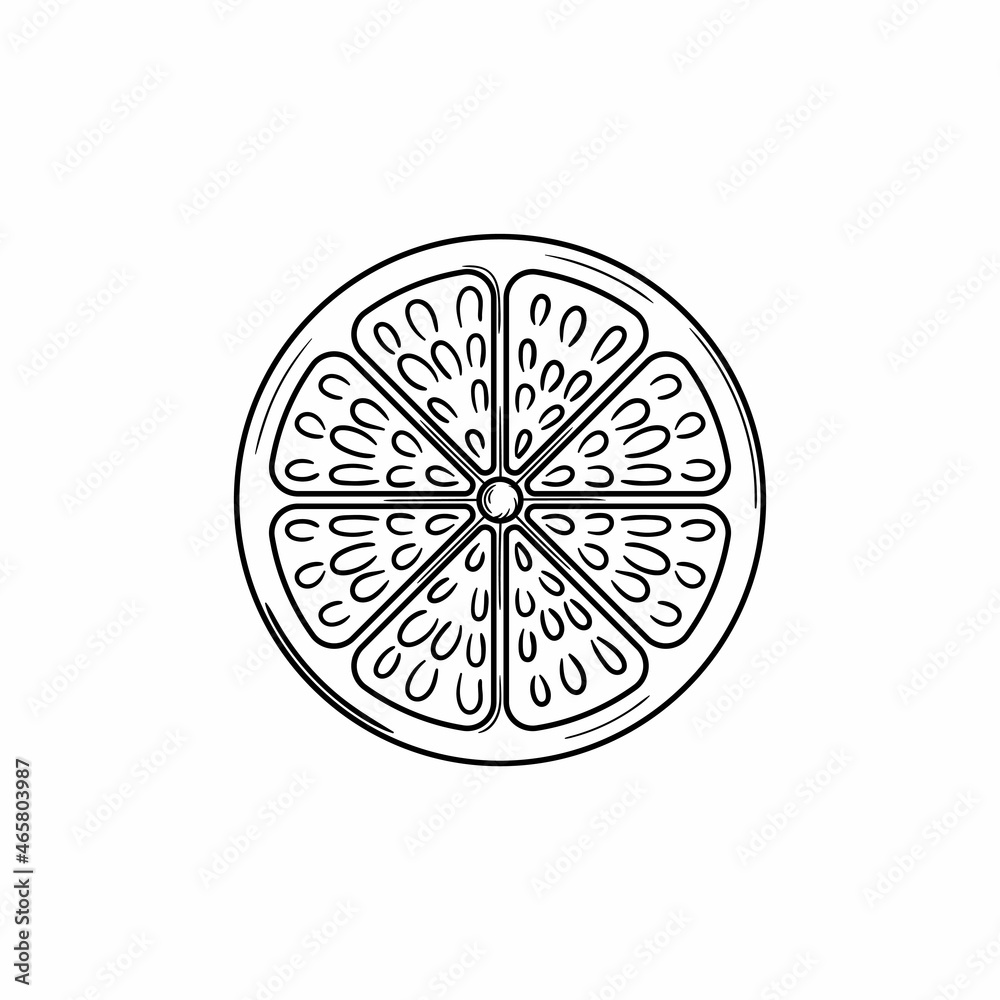 orange slice illustration hand drawn isolated design orange slice illustration hand drawn isolated design