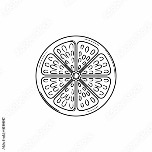 orange slice illustration hand drawn isolated design