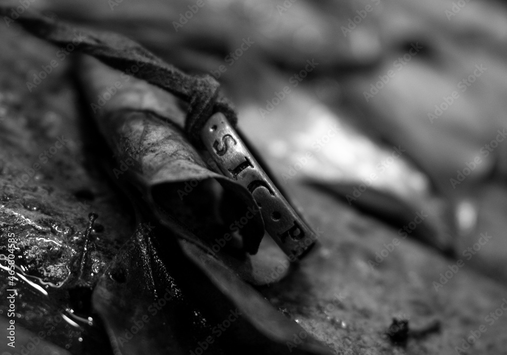 Sic parvis magna anillo hotsell