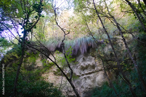 Lungo la strada per l'eremo dei frati bianchi nelle Marche photo