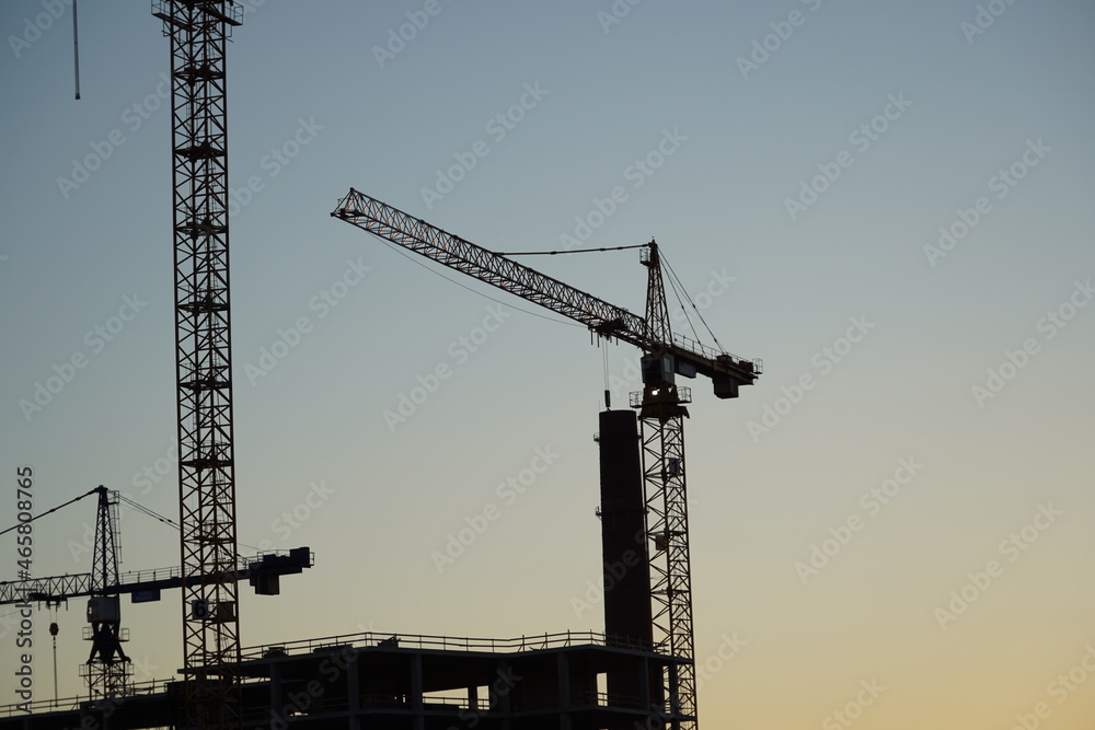 Construction site and crane. Construction of new buildings (1108)