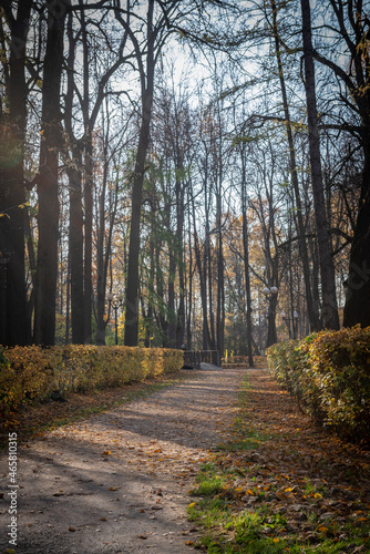 golden autumn in the park of Moscow