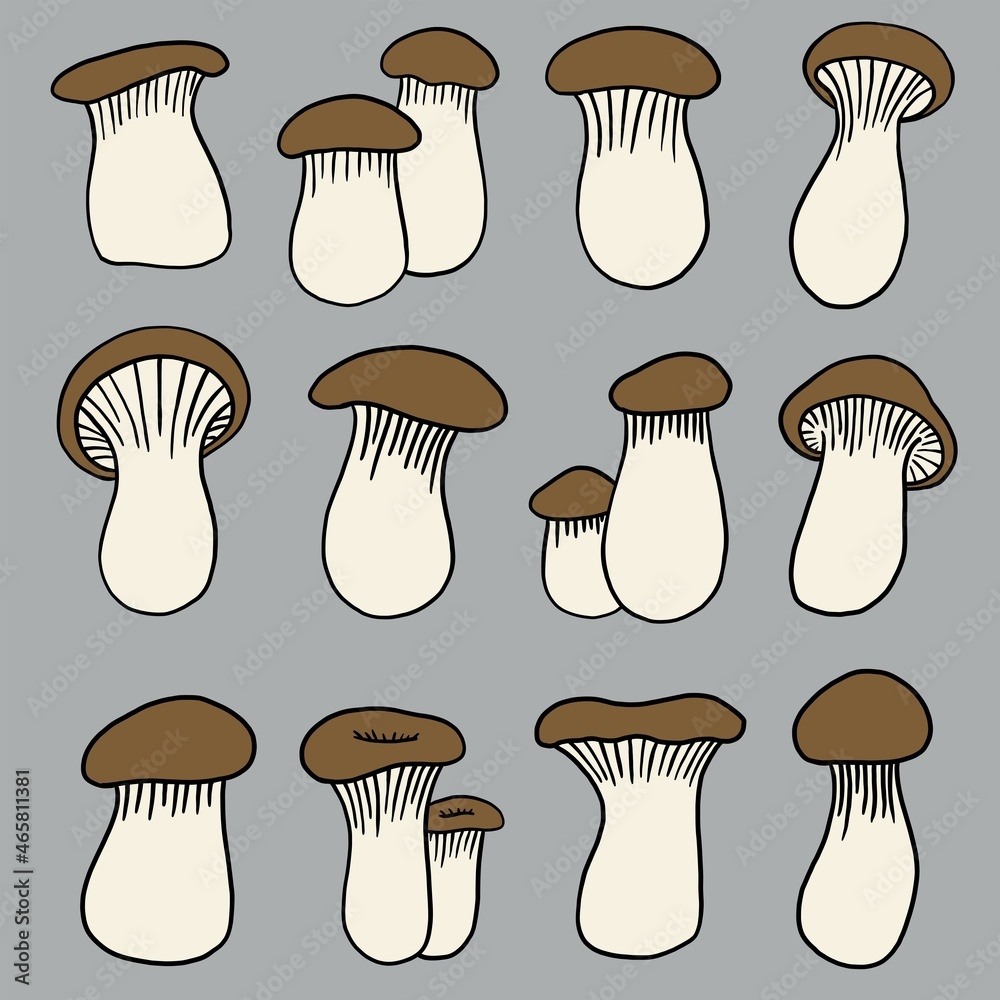 doodle freehand sketch drawing of king trumpet mushroom. doodle freehand sketch drawing of king trumpet mushroom.