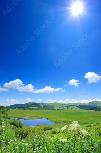 八島ヶ池とシシウドなどの花と霧ヶ峰と太陽, 八島ヶ原湿原,下諏訪町,長野県