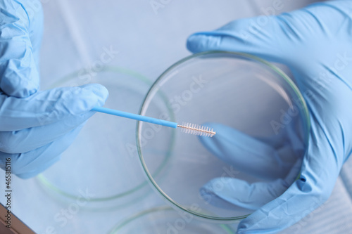 Doctor gynecologist holding cytobrush over petri dish in clinic closeup photo