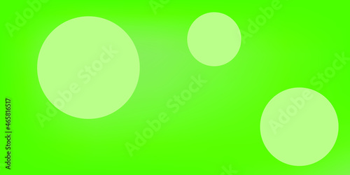 eggs on green background