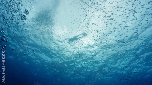 Beautiful Underwater photo of a swimmer at the surface